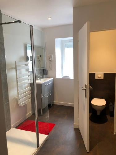 a bathroom with a shower and a toilet and a sink at L' Annexe Beverl'inn in Flers