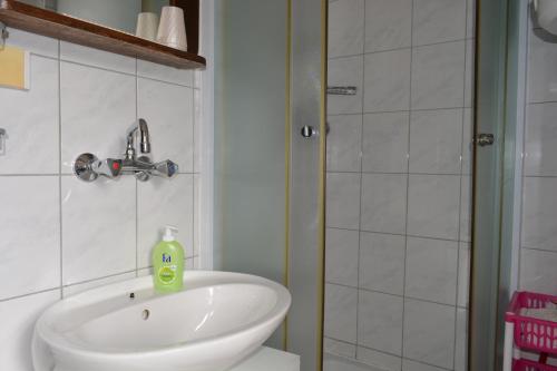 a bathroom with a white sink and a shower at Apartment Bakarić in Veli Lošinj