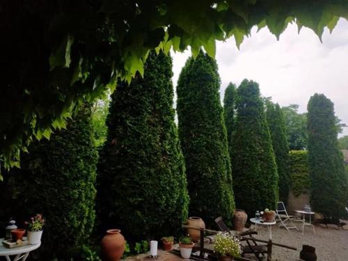 a row of trees with plants and tables and chairs at Hotel La Posada de Lalola in Buera