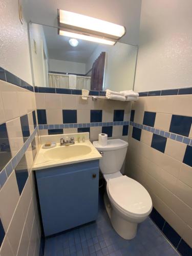 ein Badezimmer mit einem WC, einem Waschbecken und einem Spiegel in der Unterkunft Regency Inn Comanche in Comanche