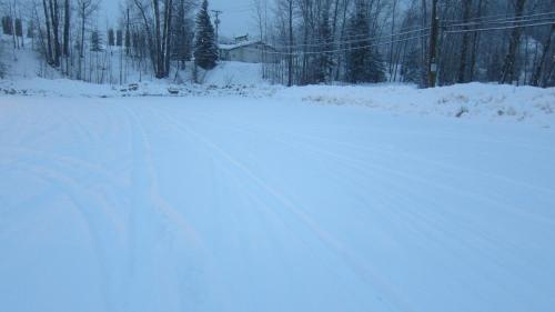 a road covered in snow with trees in the background at Super 8 by Wyndham Revelstoke BC in Revelstoke
