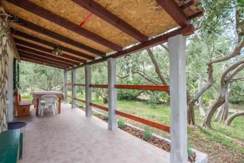 House Olive Tree – Photos 3