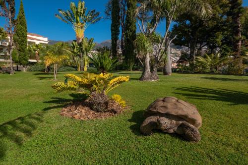 Сад в Quinta Jardins do Lago