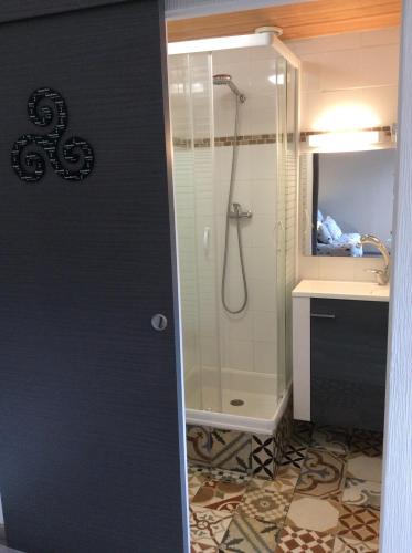 a bathroom with a shower and a sink at Le studio de la plage in Perros-Guirec
