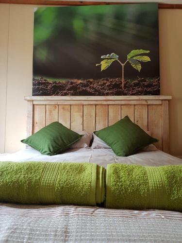 a bed with green pillows and a painting on the wall at Havana Nights in Graskop