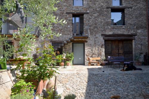 a dog laying on the ground in front of a building at Antica Sosta dei Viandanti in Cadenazzo