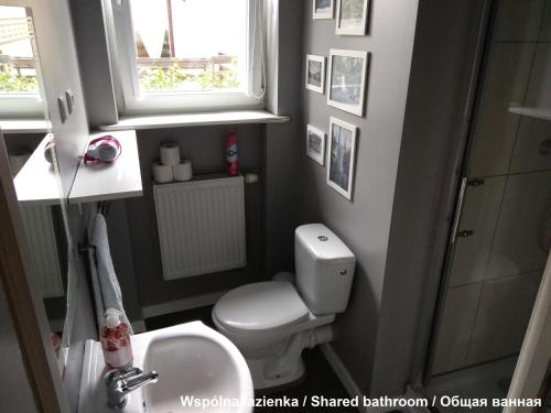 a bathroom with a toilet and a sink and a window at Olive Hostel in Gdańsk