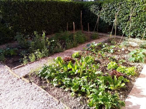 a garden with a bunch of plants in it at B&B Marana 14 Casa di Campagna in Bologna