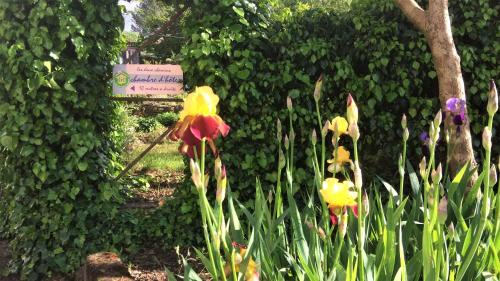 a garden with flowers in front of a hedge at Les deux chemins in Mons
