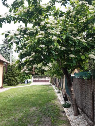 Cs&M Vendégház Gyenesdiás 8315 Gyenesdiás, Balaton köz 11. kép - 3