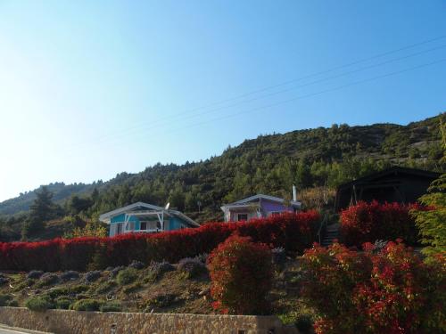a row of houses in front of a mountain at Ktima Noosfera Wellness & Retreat Center in Nees Vrisoules