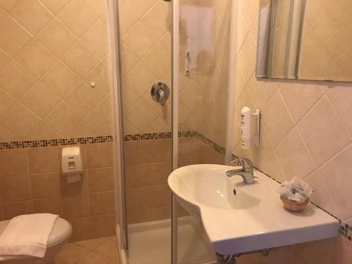 a bathroom with a shower and a sink and a toilet at Albergo Ristorante Uspa in Gorino Ferrarese