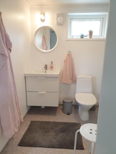La salle de bains est pourvue d'un lavabo, de toilettes et d'un miroir. dans l'établissement Humlegarden lake cottage, Horn, à Horn