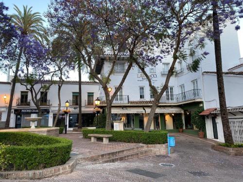 Old Town Modern Flat, 4 Minutes From Beach - EaW Homes