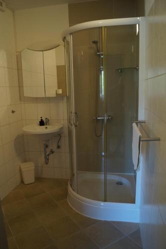 a bathroom with a shower and a sink at Hotel Pension De Gasterei in Winterberg