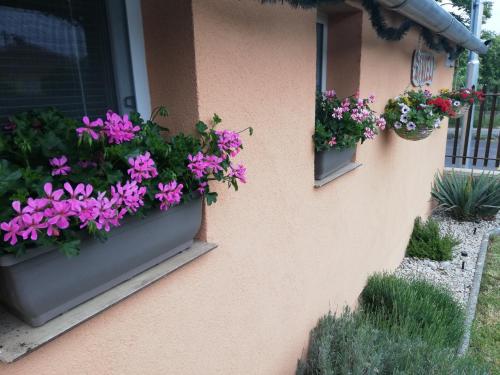 Zahrada ubytování Danieli Holiday Home
