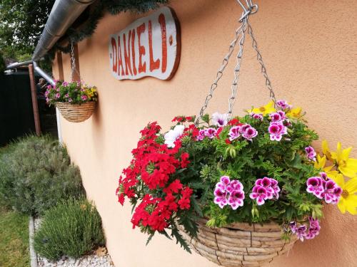 Zahrada ubytování Danieli Holiday Home