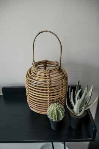 a basket sitting on a table with two plants at Pink Flamingo Boutique Hostel in The Hague