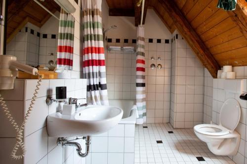 a bathroom with a sink and a toilet at Gutshof-Hotel Waldknechtshof in Baiersbronn