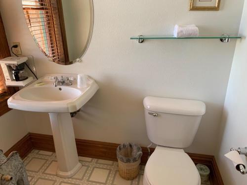 a bathroom with a sink and a toilet and a mirror at Hotel St Nicholas in Cripple Creek