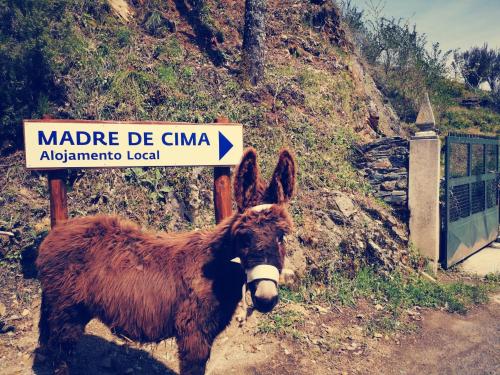 un burro parado junto a un letrero en una montaña en Alojamento Local Madre de Cima, en Vinhais