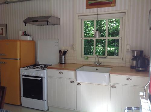 a kitchen with a stove and a sink at Gastenverblijf Oostdijk in Goedereede