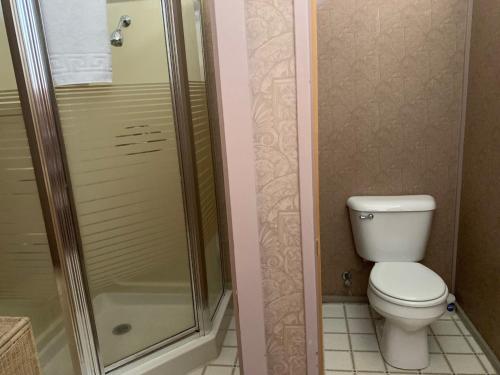 a bathroom with a toilet and a shower at Hotel St Nicholas in Cripple Creek