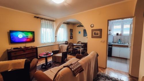 Μια τηλεόραση ή/και κέντρο ψυχαγωγίας στο Apartman Davidović