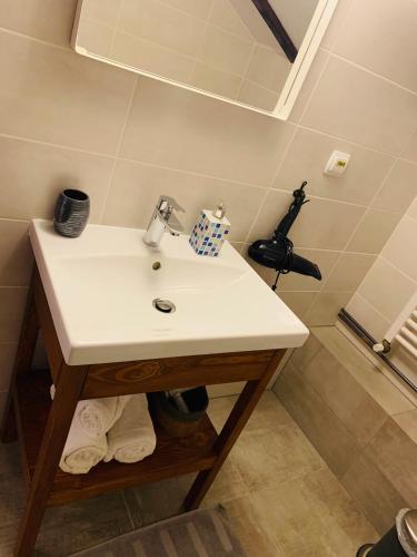 a bathroom with a sink and a shower at Casa "La Moara din Grădină" in Eftimie Murgu
