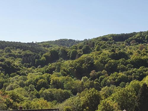 Φυσικό τοπίο κοντά σε αυτό το διαμέρισμα