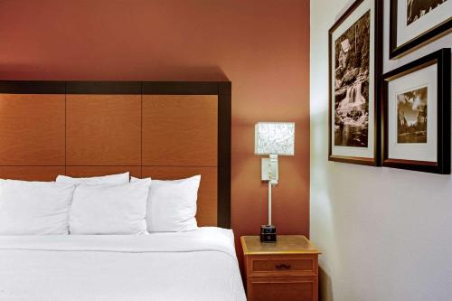 a bedroom with a bed and a lamp on a night stand at La Quinta by Wyndham Winston-Salem in Winston-Salem