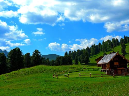 Fotografie z fotogalerie ubytování Hotel Alpino v destinaci Varena