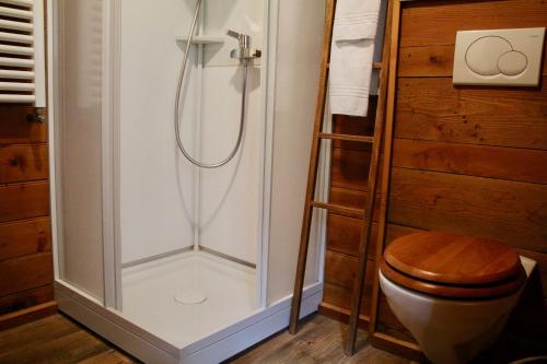 a shower with a wooden toilet in a bathroom at Gîte de Planchouet in Nendaz