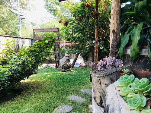un jardin avec clôture et quelques plantes et fleurs dans l'établissement Posada Teopanco, à Tepoztlán