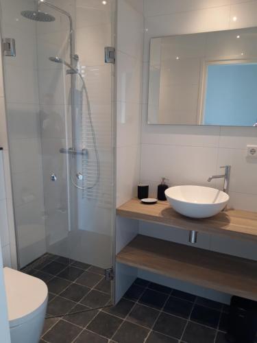 een badkamer met een wastafel en een glazen douche bij Vakantiewoning 100m van het strand met 1 Slaapkamer in Westkapelle