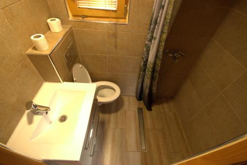 a bathroom with a sink and a toilet and a shower at Rafting Tara Camp Highlander in Bastasi