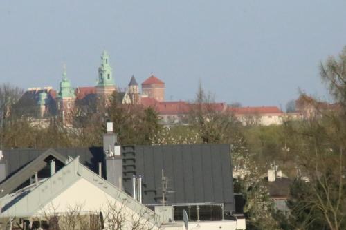 a view of a city with a castle in the background at Daisy Superior in Kraków