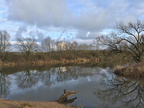 a river with a log in the middle of it at Tinyhouse Bamberg in Pettstadt