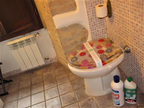 a bathroom with a toilet with a floral toilet seat at La Pietra Rara B&B in Montone