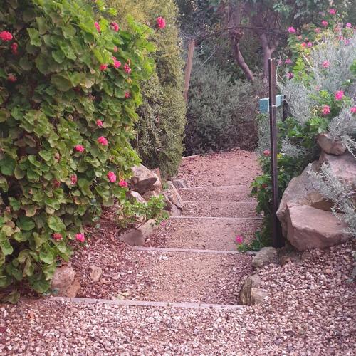a set of stairs leading to a garden with roses at Astley Cottage in Daylesford