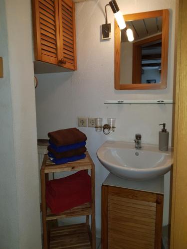a bathroom with a sink and a mirror at Ferienwohnung Grenzblick in Kurort Oberwiesenthal