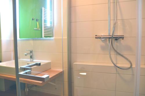 y baño con lavabo y ducha. en Appartement Fichte, en Ramsau am Dachstein
