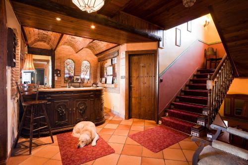 Питомец или питомцы в Hotel El Balcon de las nieves
