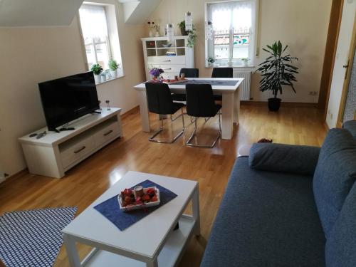 Televisyen dan/atau pusat hiburan di Ferienwohnung Eifelgold Esch