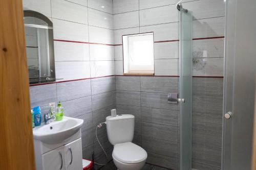 uma casa de banho com um WC e um lavatório em Садиба в пані Рузі em Skole