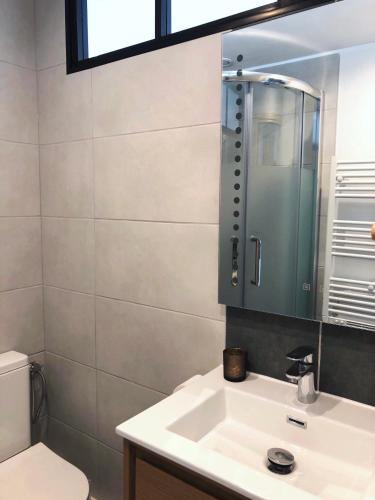 une salle de bain avec un lavabo et un miroir et des toilettes dans l'établissement Studio hypercentre vue mer, à Arcachon