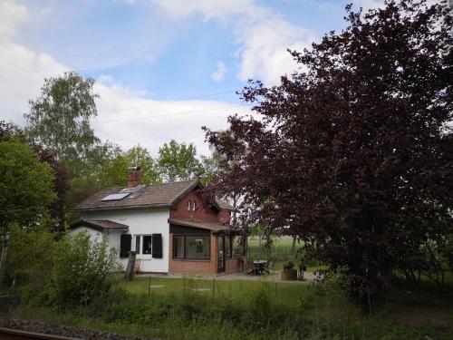 a small house in the middle of a field at Lüttje Heide-Huus in Soltau