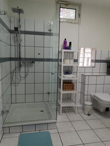 a bathroom with a shower and a toilet and a sink at Lüttje Heide-Huus in Soltau