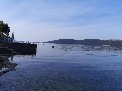 Φωτογραφία από το άλμπουμ του Harbour σε Brgulje