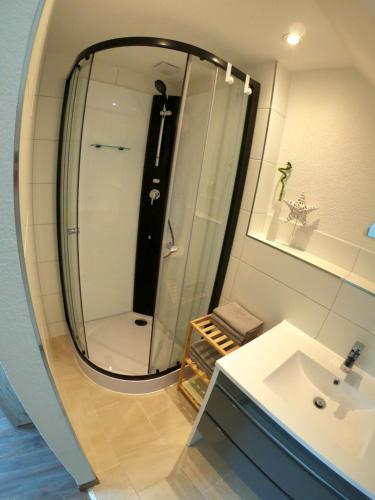ein Bad mit einem Waschbecken und einer Dusche mit einem Spiegel in der Unterkunft "Onkel Tom's Hütte" in Altendorf
